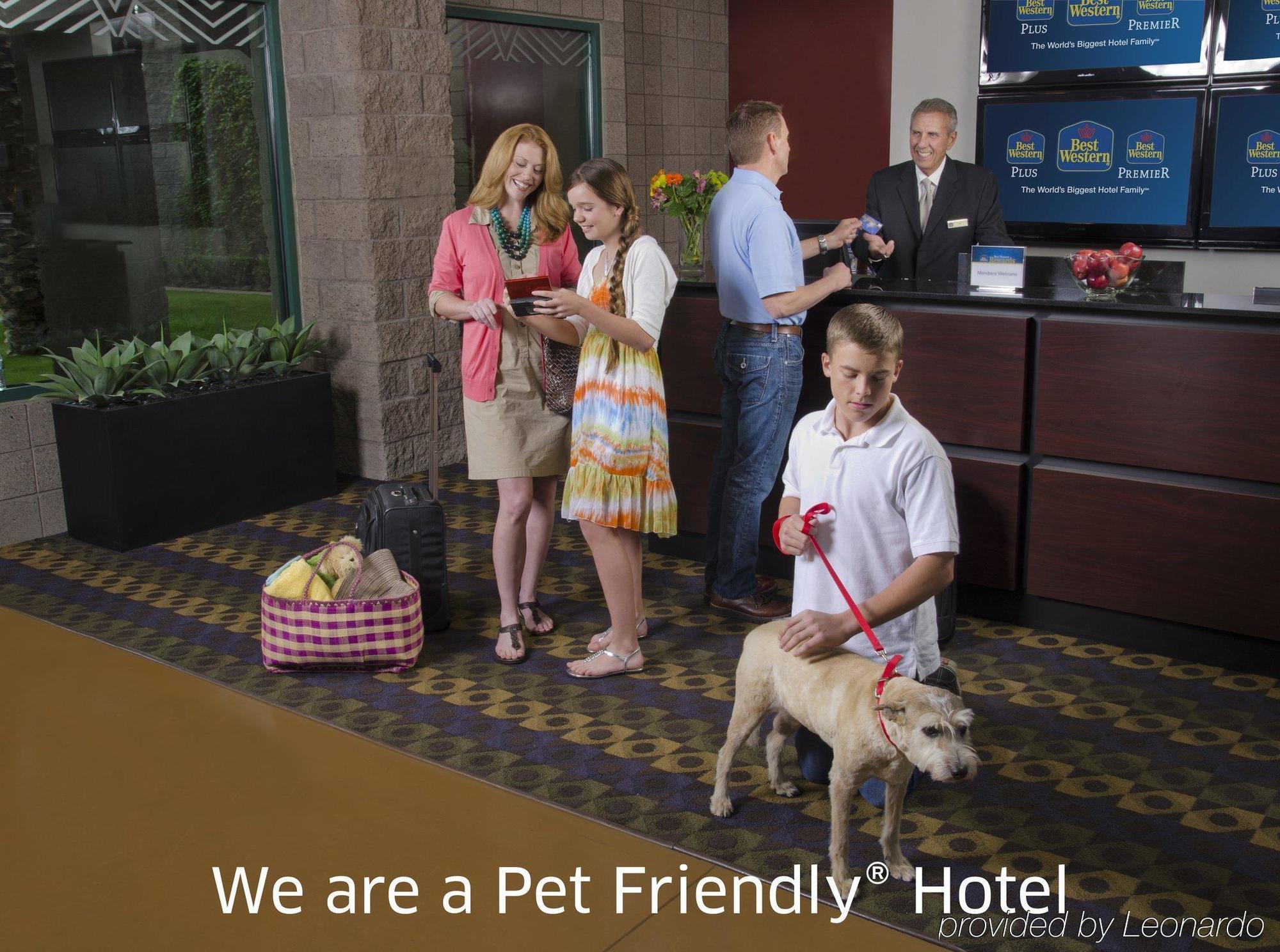 Best Western Plus Cotton Tree Inn North Salt Lake Eksteriør bilde